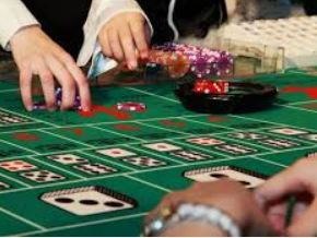 壹号app官网版2024最新版